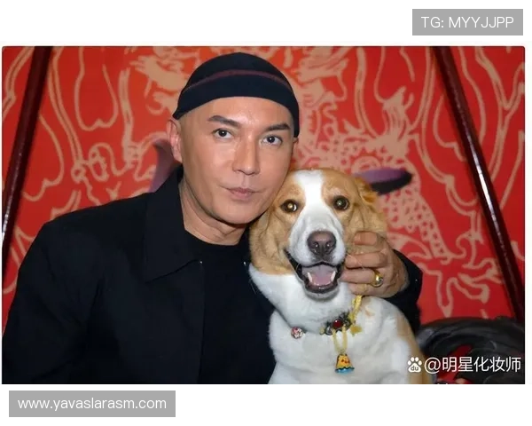 详细解析尊龙网站下载的安全性及使用技巧