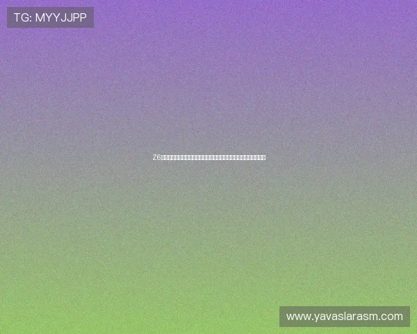 Z6用现最新版本的操作界面与用户体验优化，提升你的游戏操作舒适度